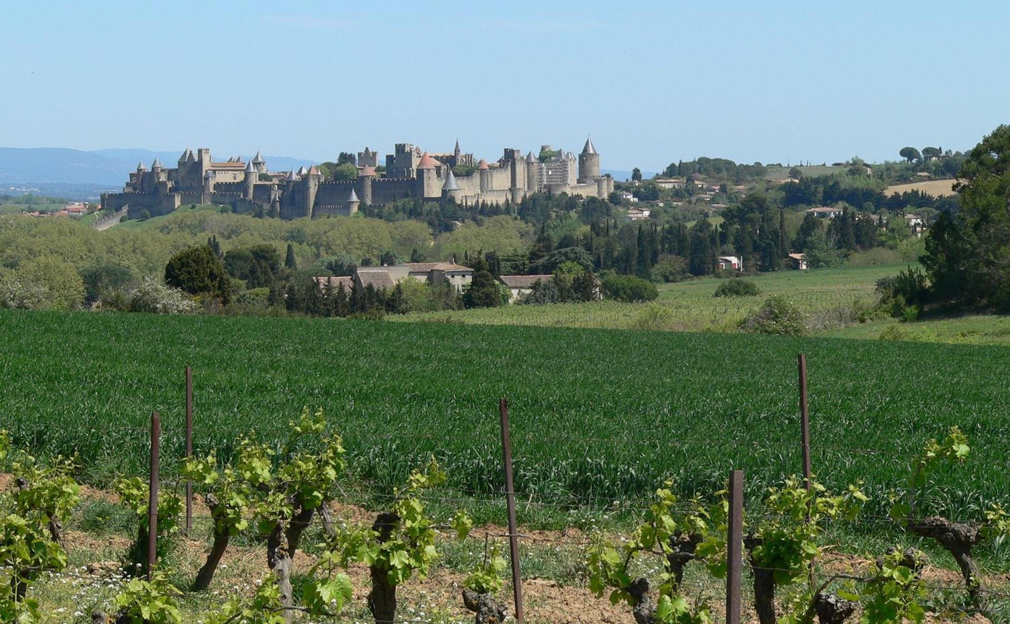 La Petite Chambre Du Lac Carcassonne Exteriér fotografie